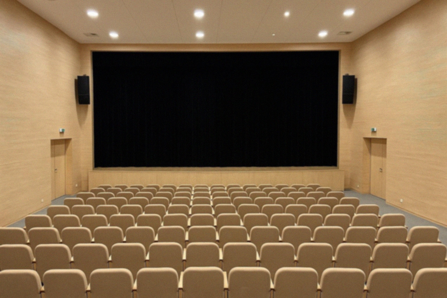 Interaktywny koncert edukacyjny „Smykofonia” w Białej Podlaskiej