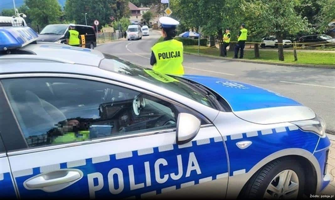 Wypadek z udziałem łosia na krajowej dwójce w Woroniec